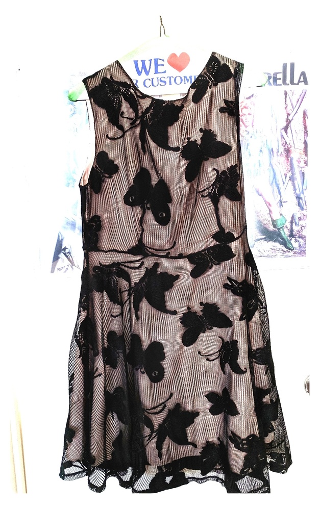 Butterfly print mesh dress